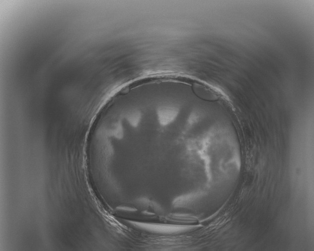 X0000059841279200510281815