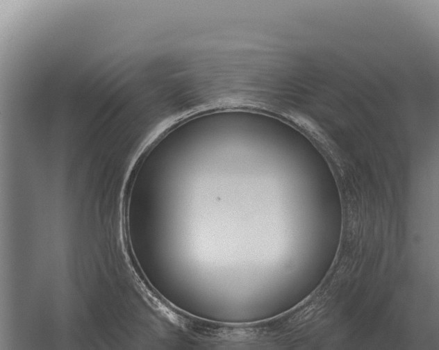 X0000059841286200510281814