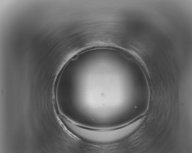 X0000059841287200510281814