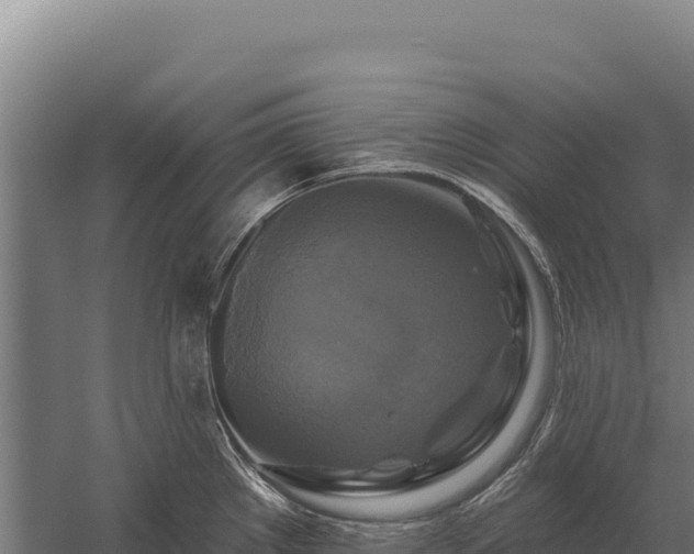 X0000059841289200510281814