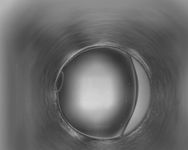 X0000059841292200510281814