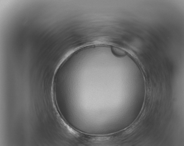 X0000059841294200510281814