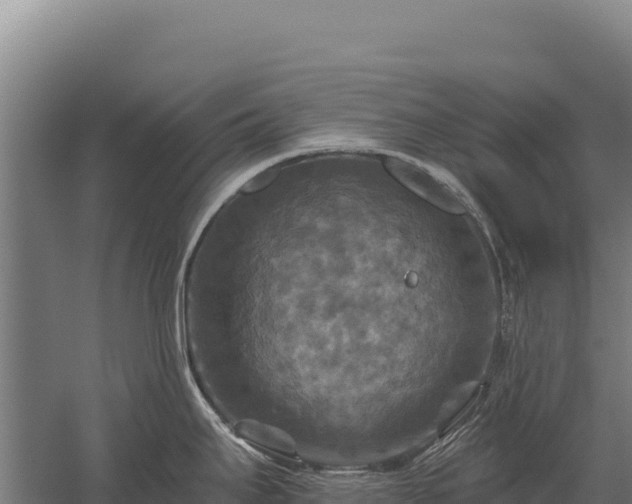 X0000059841295200510281814