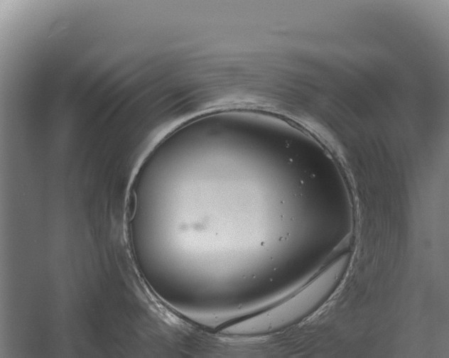 X0000059841296200510281814