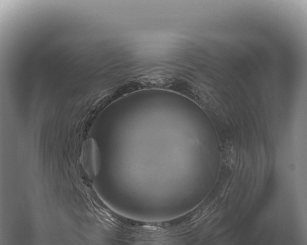 X0000059841297200510281813