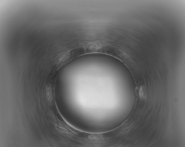 X0000059841299200510281813