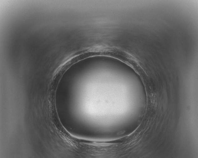 X0000059841304200510281814