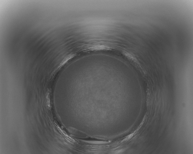 X0000059841305200510281814