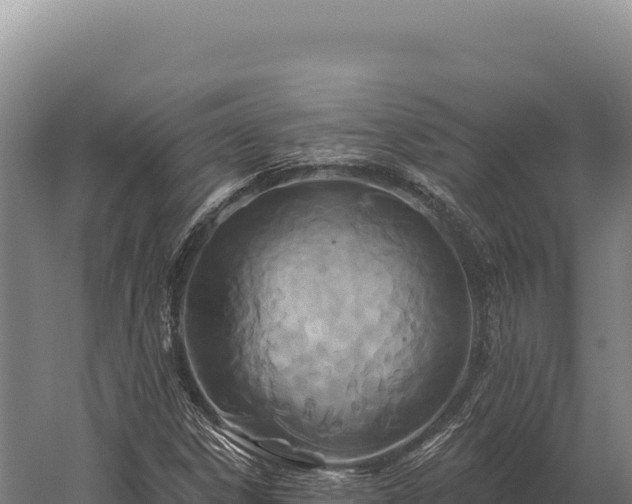 X0000059841306200510281814