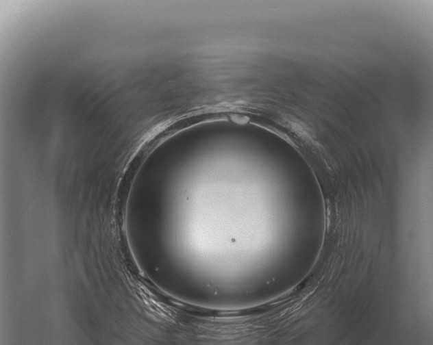 X0000059841308200510281814