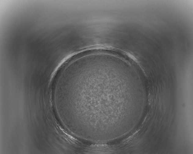 X0000059841310200510281814