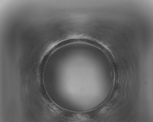 X0000059841311200510281814