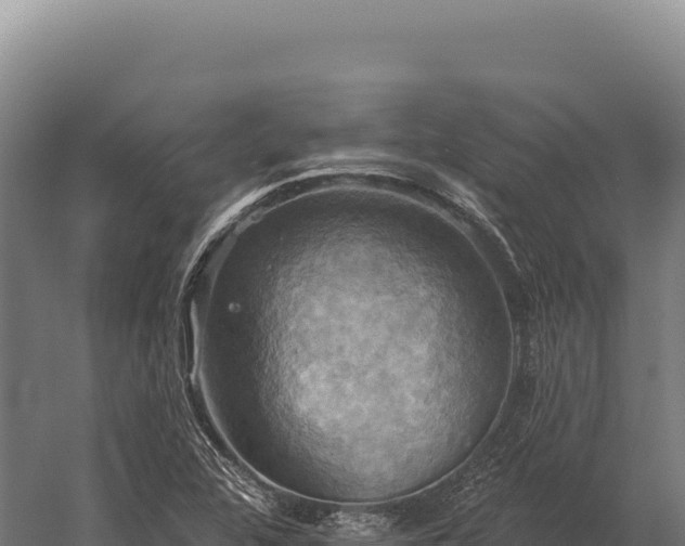 X0000059841312200510281814