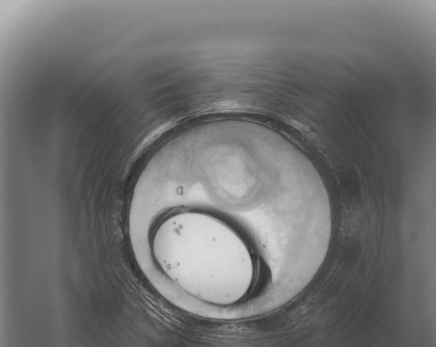 X0000059841314200510281814