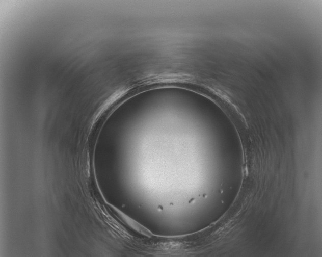 X0000059841317200510281814