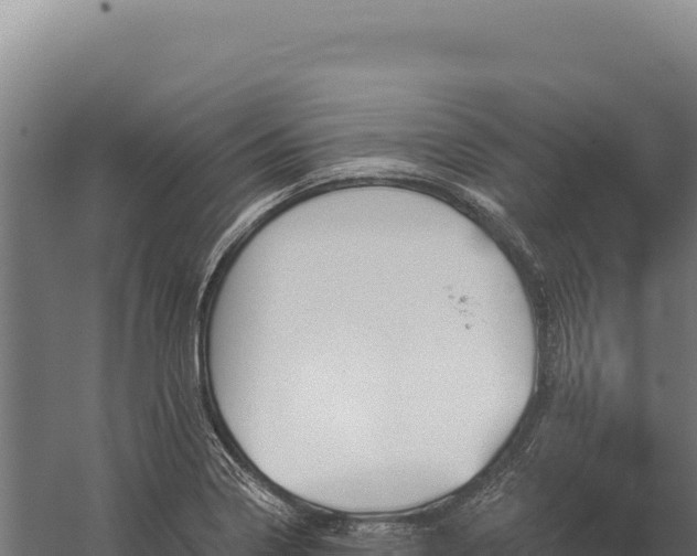 X0000059841322200510281814