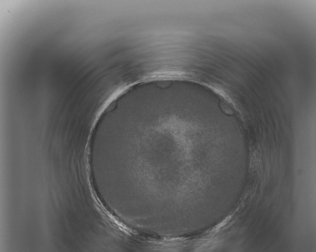 X0000059841325200510281814