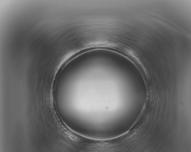 X0000059841328200510281814