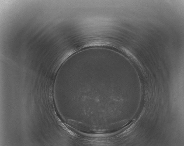 X0000059841329200510281814