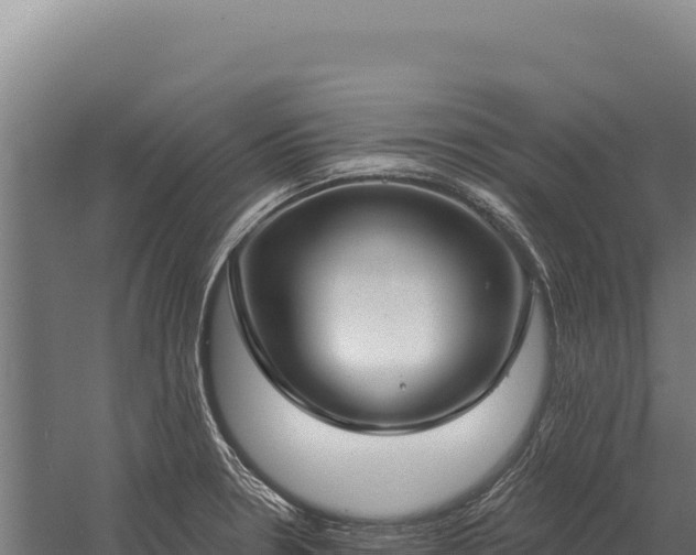 X0000059841330200510281814