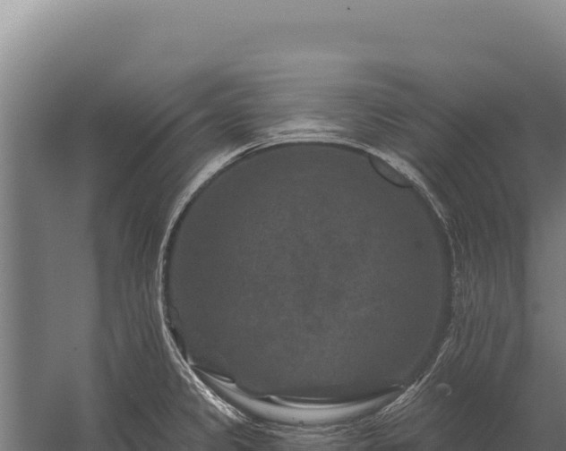 X0000059841333200510281814