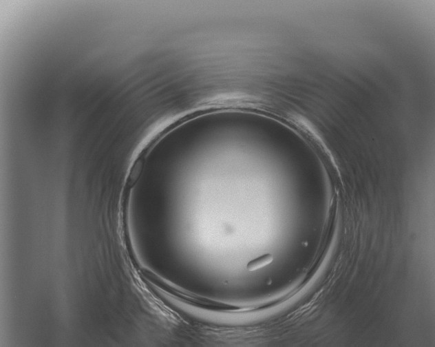 X0000059841336200510281814