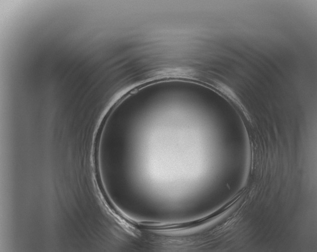 X0000059841339200510281814