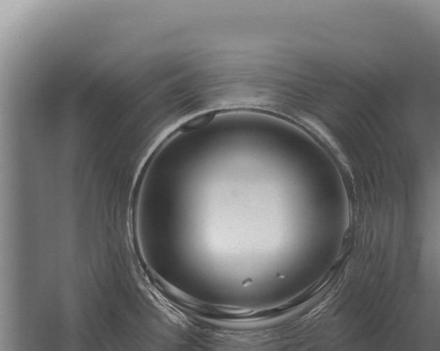 X0000059841340200510281814