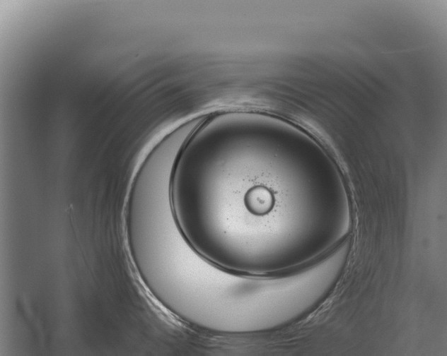 X0000059841344200510281814