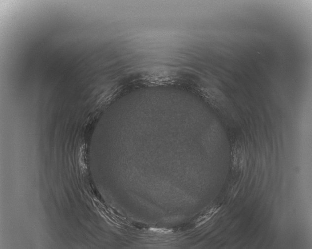 X0000059841346200510281813