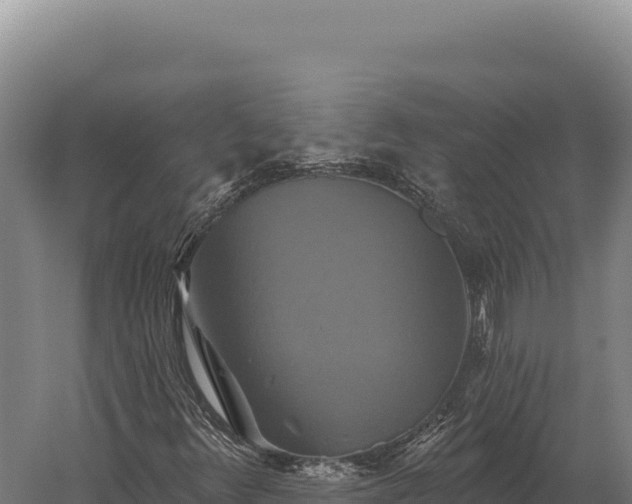 X0000059841348200510281813