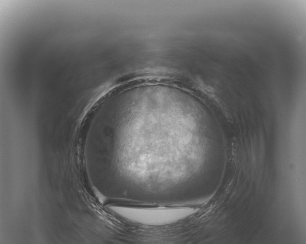 X0000059841352200510281813