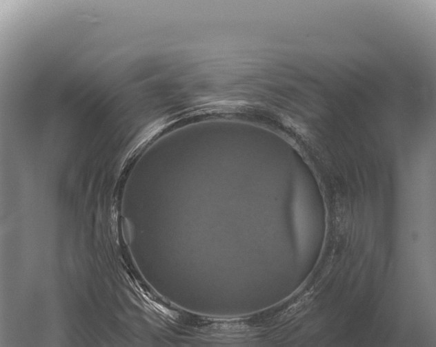 X0000059841354200510281813