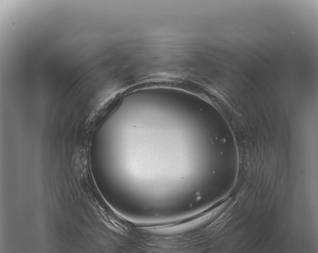 X0000059841355200510281813