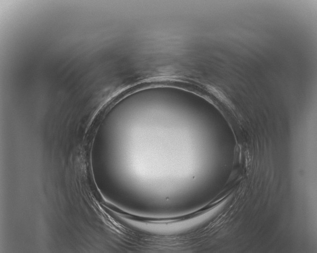 X0000059841356200510281813