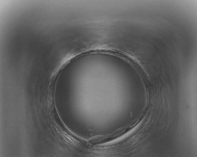 X0000059841359200510281813