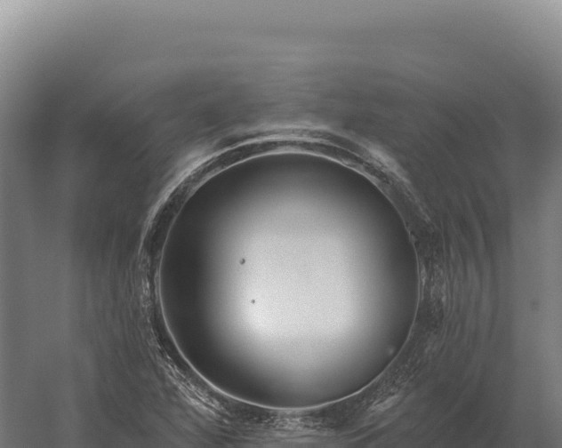 X0000059841360200510281813