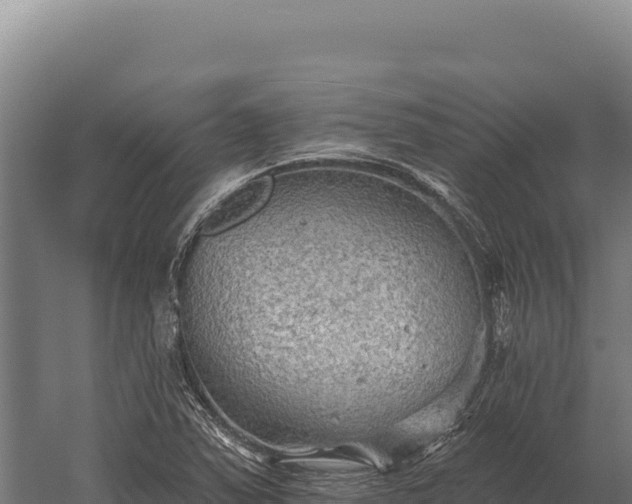 X0000059841363200510281813