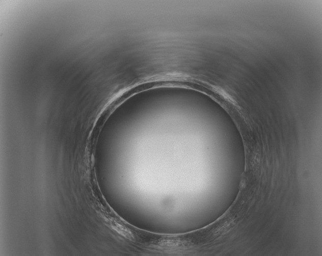 X0000059841364200510281813