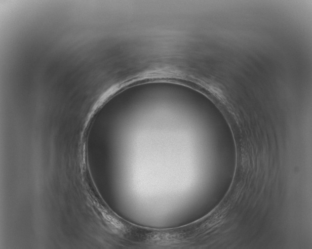 X0000059841366200510281813