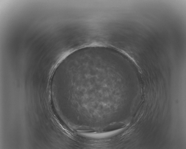 X0000059841367200510281813