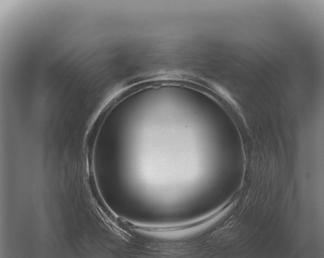 X0000059841368200510281813