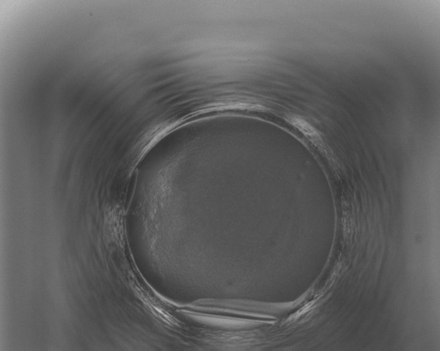 X0000059841369200510281813