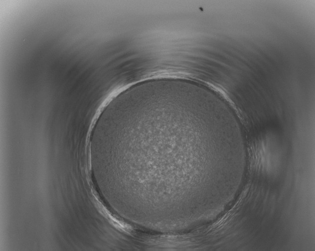 X0000059841371200510281813