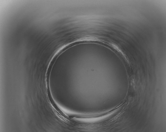 X0000059841372200510281813