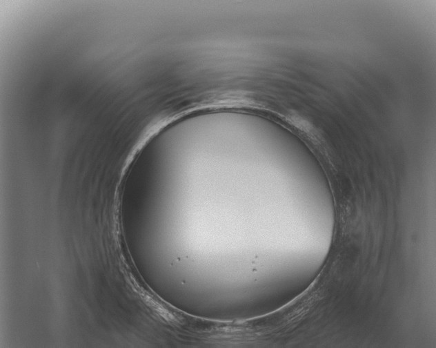 X0000059841374200510281813