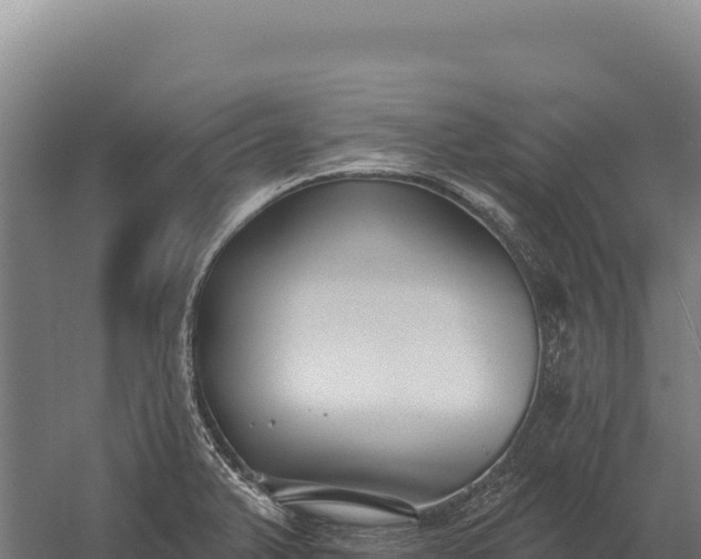 X0000059841375200510281813