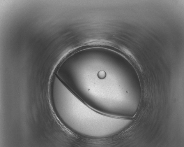 X0000059841376200510281813