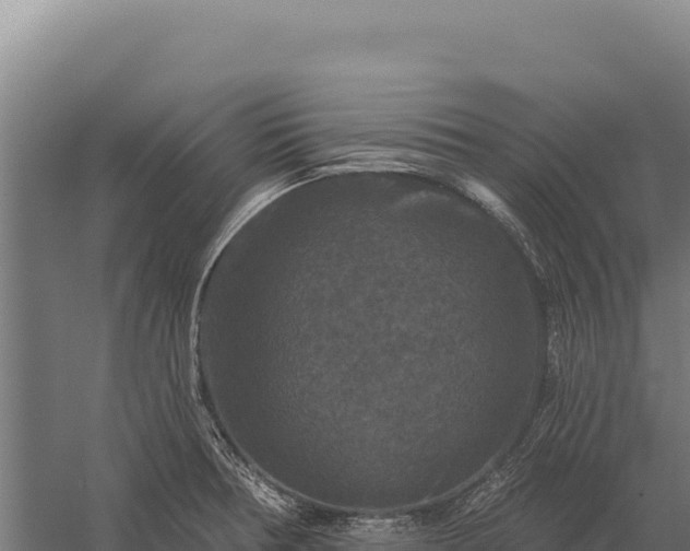 X0000059841378200510281813