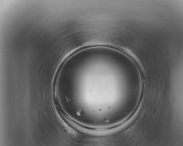 X0000059841380200510281813